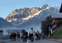 Alpabtrieb – wenn der Sommer langsam zu Ende geht